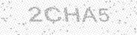 Alternative text for capture image