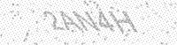 Alternative text for capture image