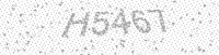 Alternative text for capture image