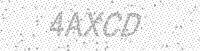 Alternative text for capture image