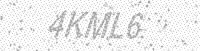 Alternative text for capture image