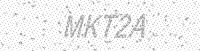 Alternative text for capture image