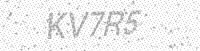 Alternative text for capture image